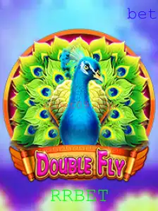 Descubra o Fascinante Mundo de DoubleFly com RRBET